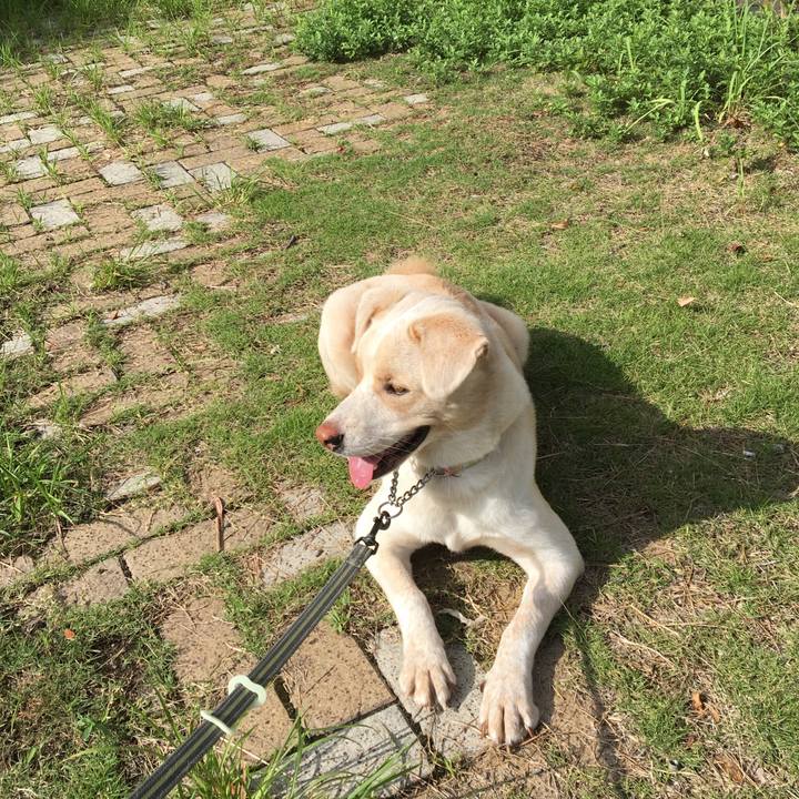 A8bd1b7d 39f5 487e b18f 522b78e65724