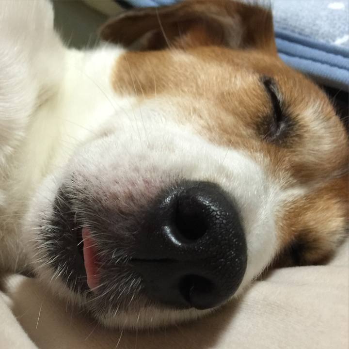 A8bd5d71 1327 4366 b7e3 1cd1ee45baf9