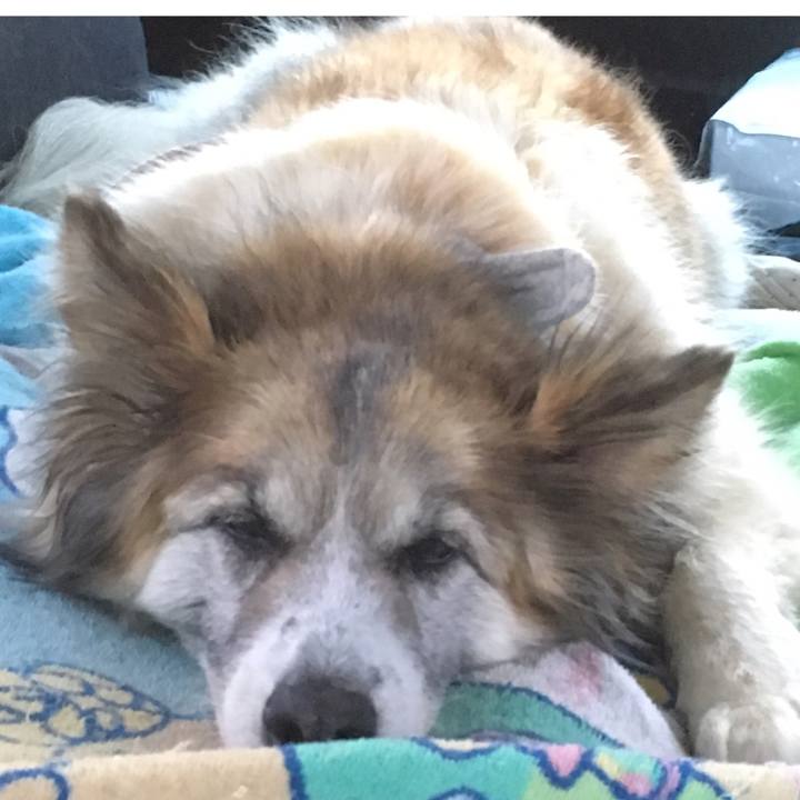 A8be4268 8118 4dc6 87e4 60bf04bd0f71