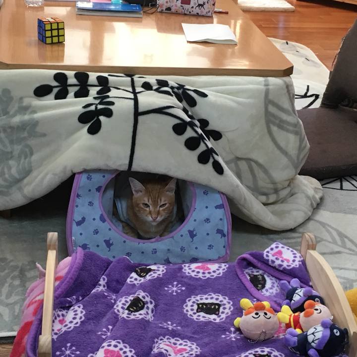 A8be5773 edbd 4485 89df a87cc2c71fec