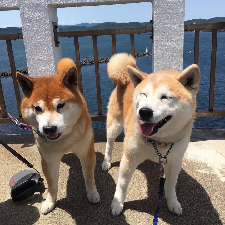 A8be93c3 37b7 4a29 8a3d 02a53ca16662