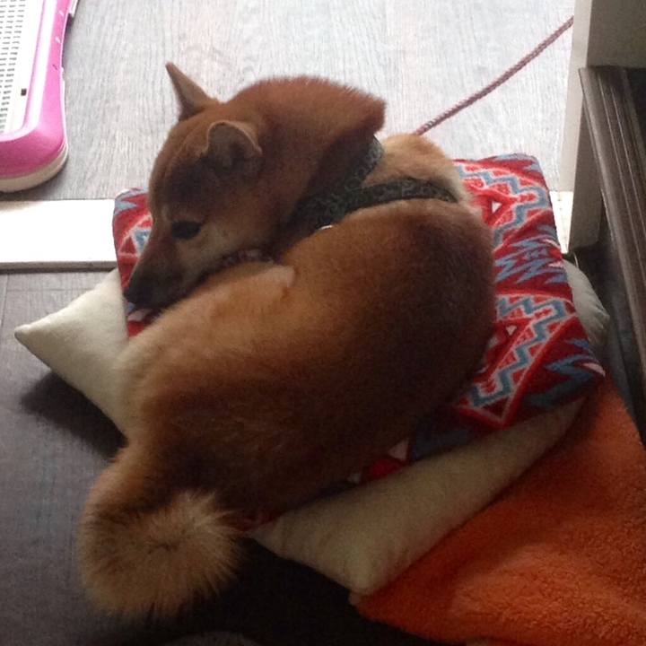 A8bef9da 63d2 47e0 aec5 2b4da1321940