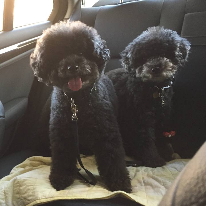 A8bf5a8c 638b 46b1 9b36 dd2a5b6e69d0