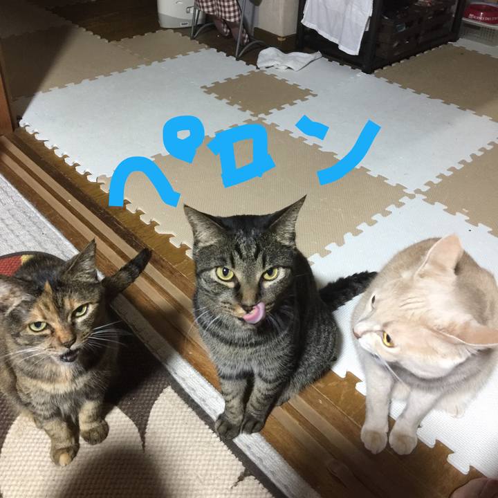 A8bfd2c5 9d38 4b85 9bff d8b92a5536d7