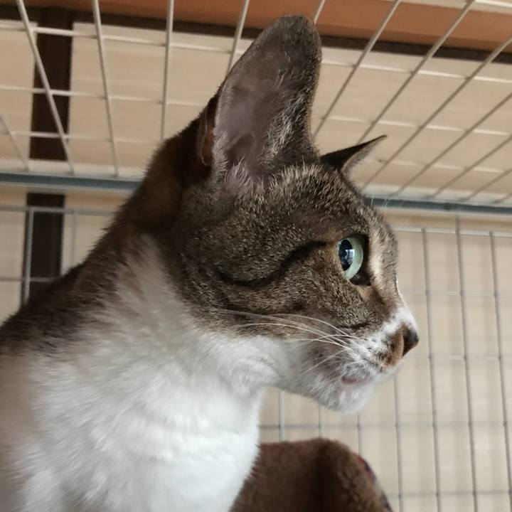 A8c04892 e44f 44a2 be79 fafae7d3f2cb