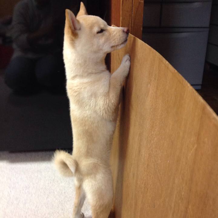 A8c15340 d53f 4dbb 8e92 a4ad253388f2