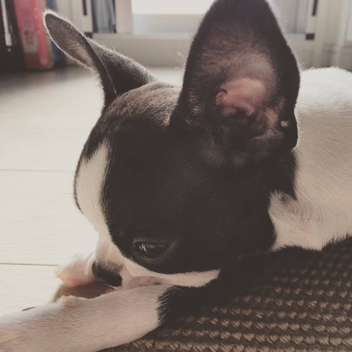 A8c15821 80e3 4442 ade6 4f748118b457