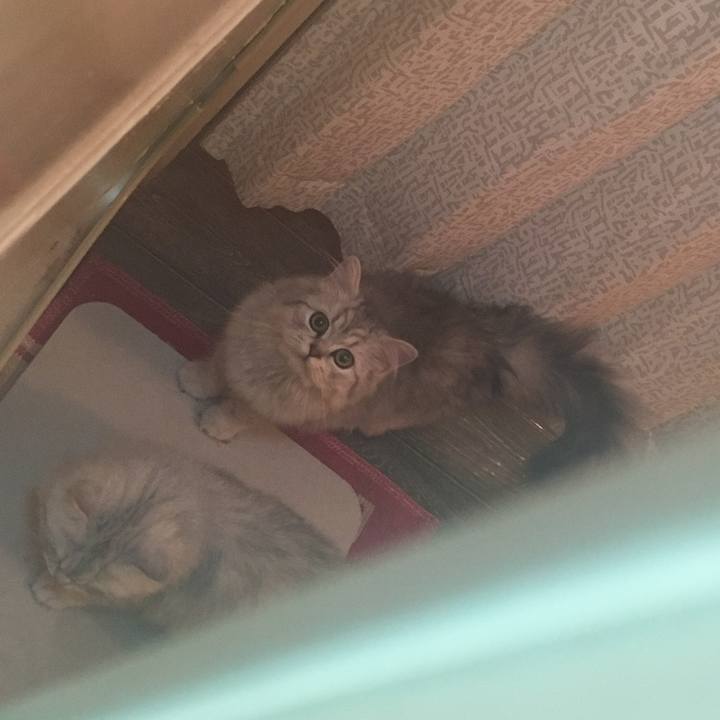 A8c1db1d 0b2f 4b7e a967 43f7ada6f7fd