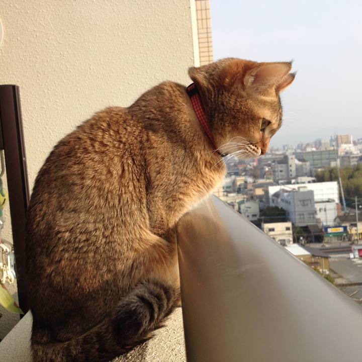 A8c2c02e 71e8 430c 8884 51ae9c93d6e9