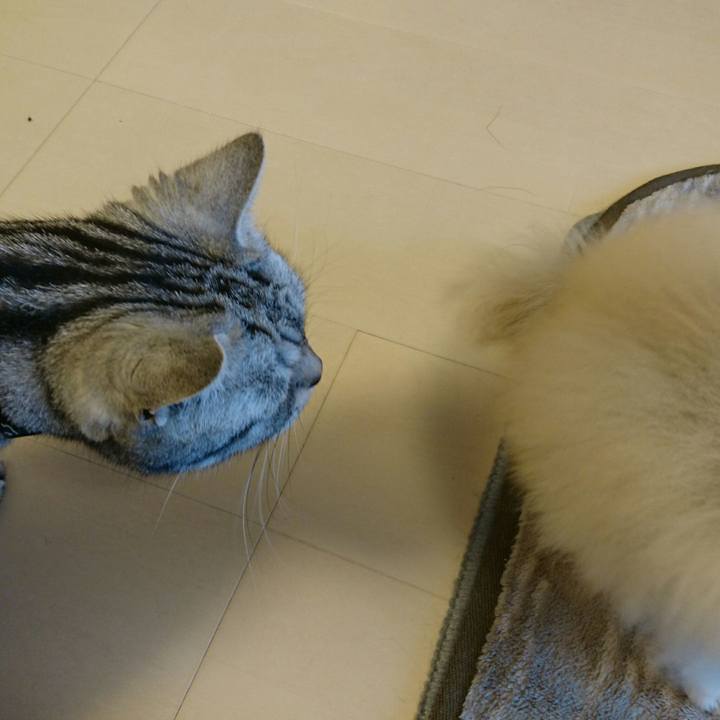 A8c35bc9 c6d1 4448 97ef f73c815fdf54