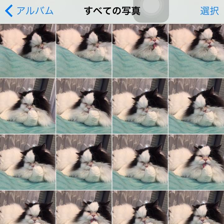 A8c386df 884f 41c6 afe4 6a29679f4049