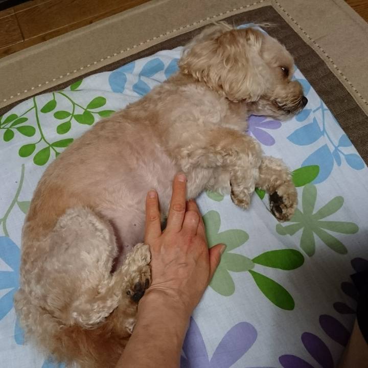 A8c3fa9b 9025 4fb2 9b41 f327e3294b68