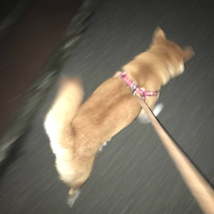 A8c41a5c 710a 46f5 b234 75389113d96f