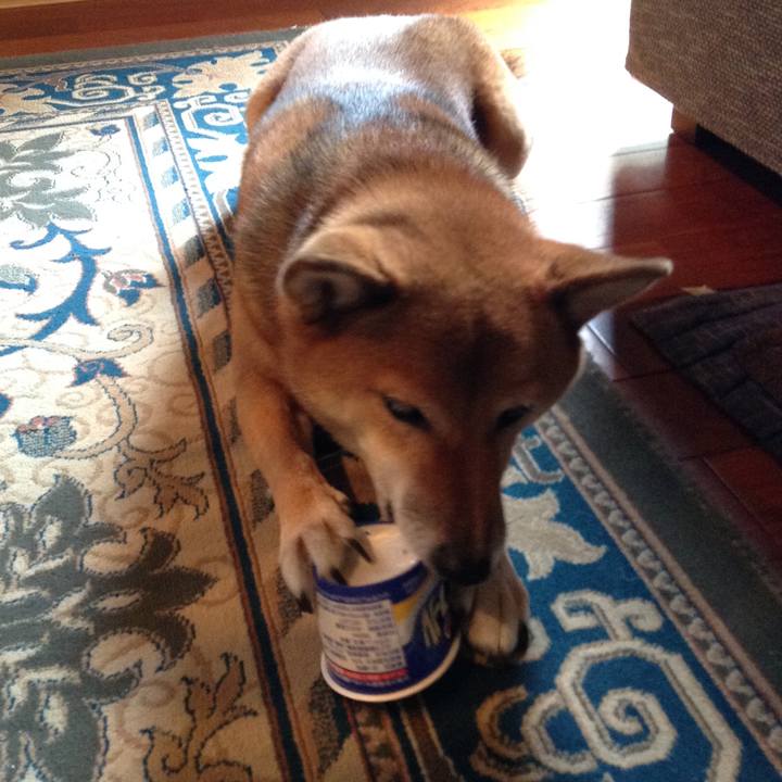 A8c4329b d7a7 4e18 a8cc d212ae4ccce9