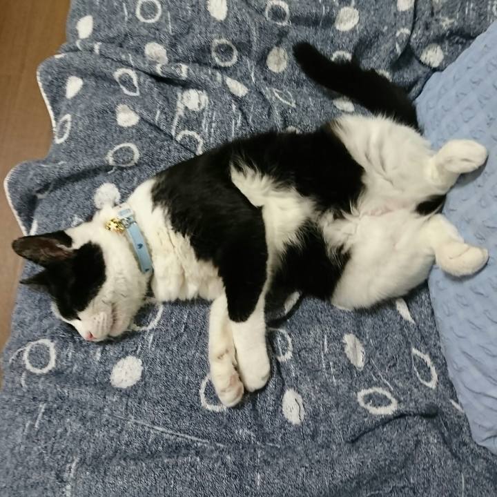 A8c4c4c0 5a63 4acf bfa2 340bdb56020a