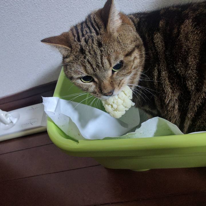 A8c4f849 3e7b 4d12 b9cb a42a5c2b1106