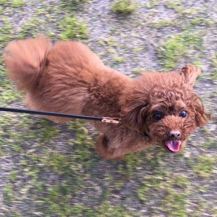 A8c58274 173d 4396 bb0a d08c3c6a5ea5