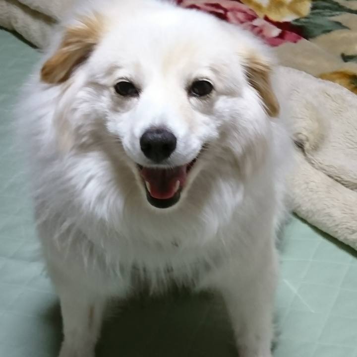 A8c6339f ae1a 4361 a2fc dc4925c30f64