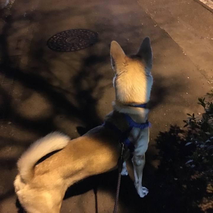 A8c6c4de 3c8c 4572 9f1d 8ef6e0dd4c11