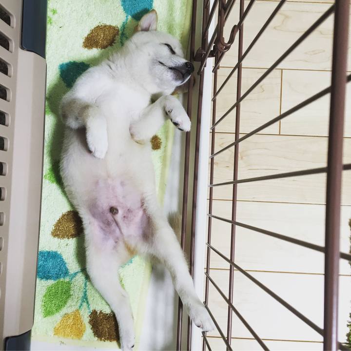 A8c6f897 28fd 465d b379 8f8bcc3bd681