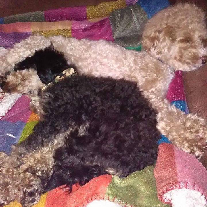 A8c7ae1b 1946 4526 8c02 4d108c1f7f3d