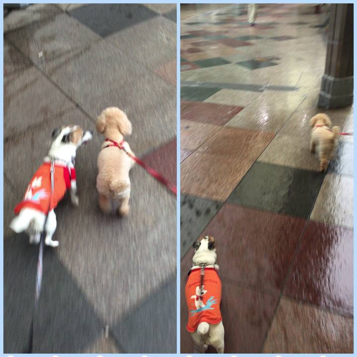 A8c81a55 ee12 4f58 be47 b5bd53fc5cbe