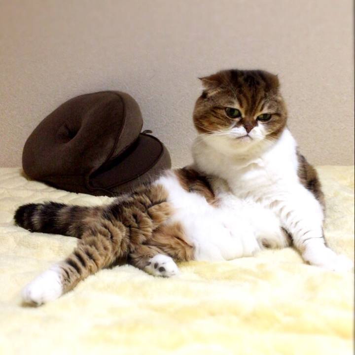 A8c85fd6 892f 49eb af48 140a5af3476d