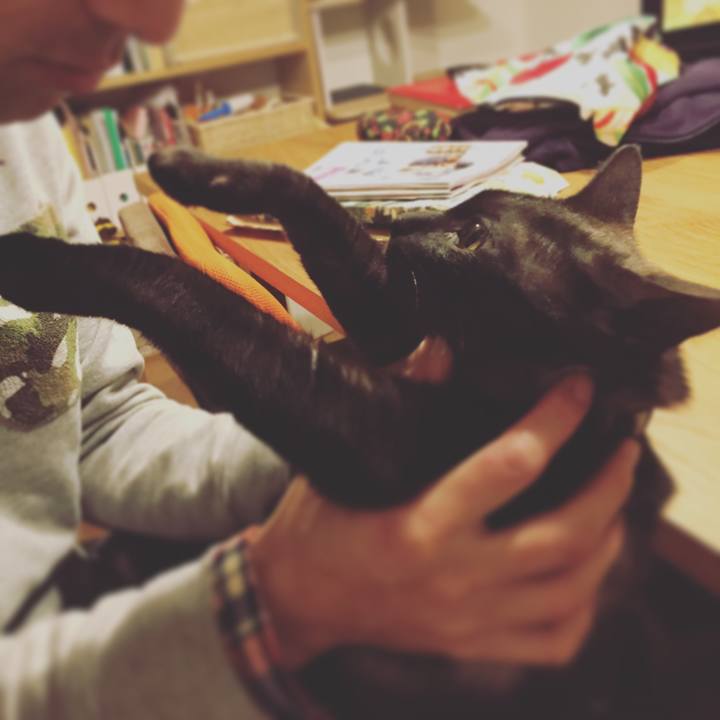 A8ca639e e12a 497d a053 2ca2244c83ac