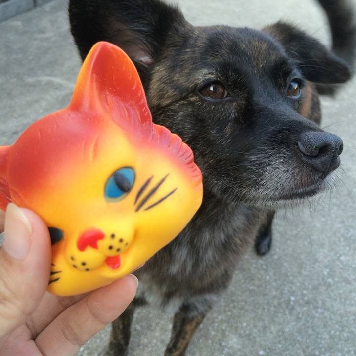 A8caa649 d4d5 4a81 b1c1 193aefaf96be