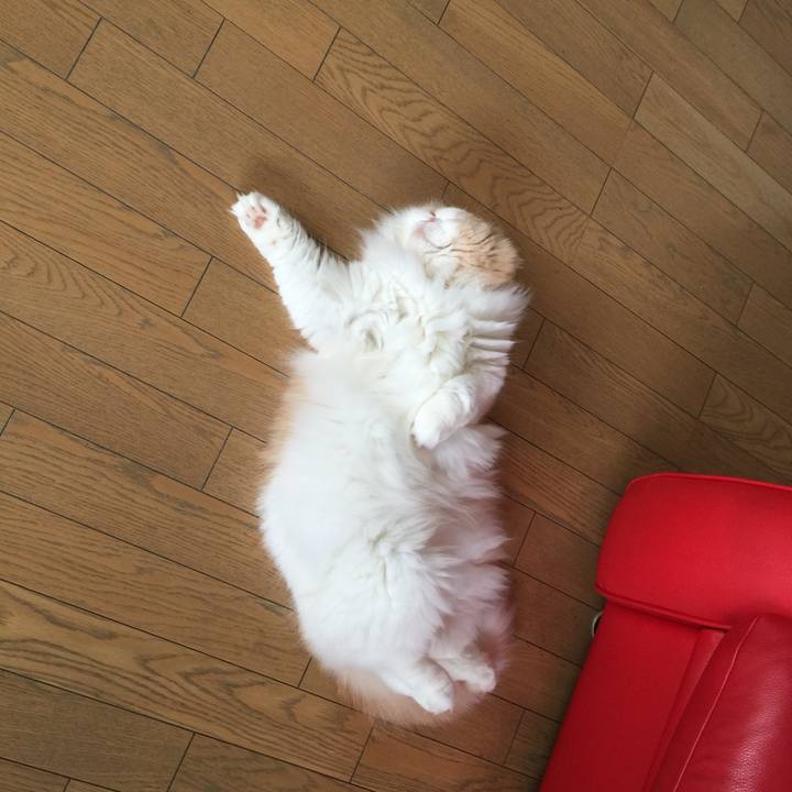 A8cafdd0 c15f 4ab5 bd50 0df3984ca0c8