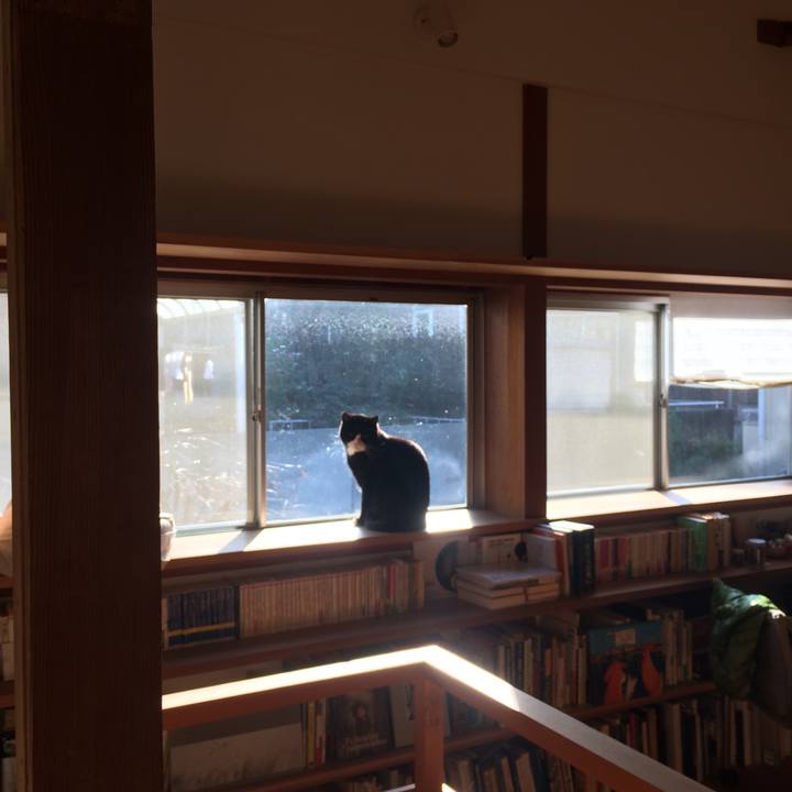 A8cafe8f f0e6 4cb0 ae52 1a0c58d37e57