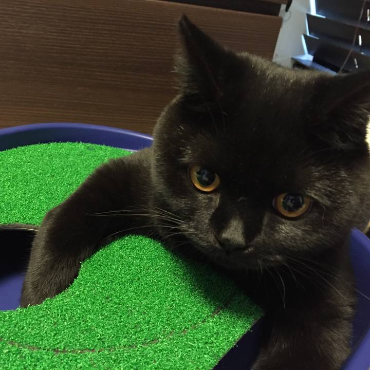 A8cc2522 0299 4480 8099 29446947828d