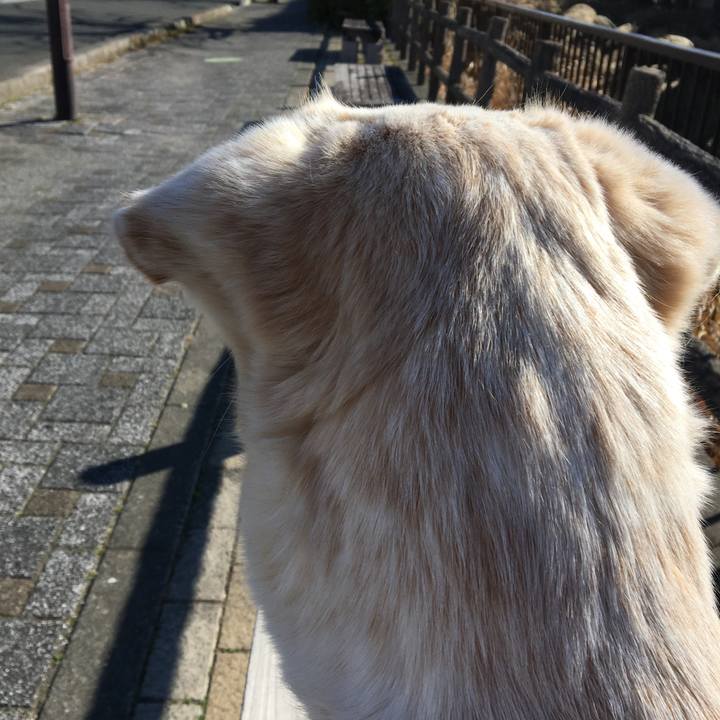 A8cc29a4 0ddb 4df7 9c81 2f6bb799abfd