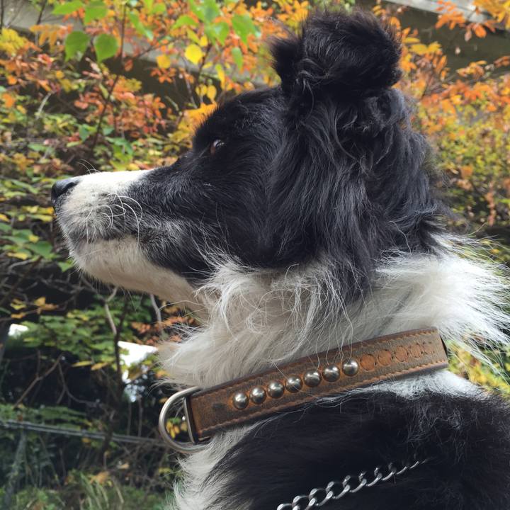 A8cc3031 c5e8 46d8 aeb5 3e08d9676884