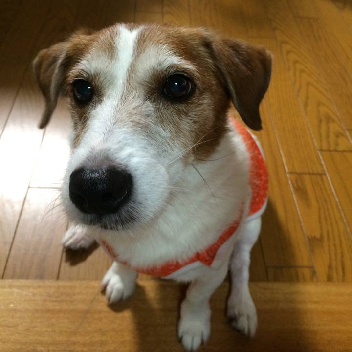 A8cd1244 b3c6 4b93 863f 9a5cd87dbd15