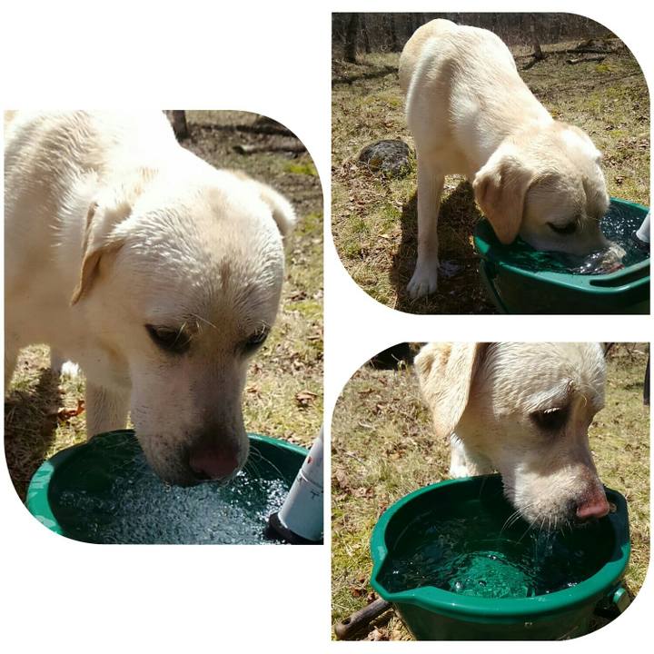 A8cd1605 0d33 4b05 ac0c 55304668f3df