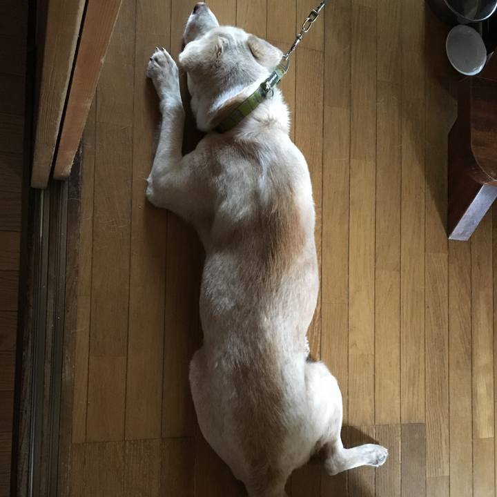 A8cd164c 057d 457f 9c1d ee5a7a131cba