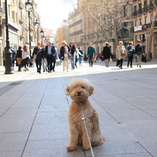 A8cd46dd 195c 4ad8 b3f1 726ce61840fa