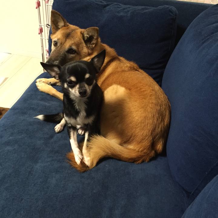 A8cddf65 ea1c 49de bfe5 88c95437cc1d