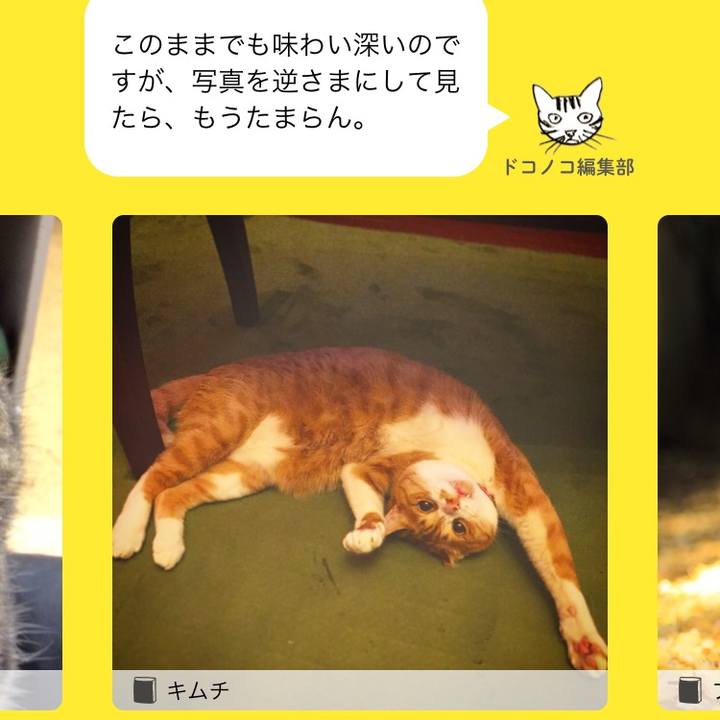 A8cec0ec 5841 4930 8a79 d60d669c168f