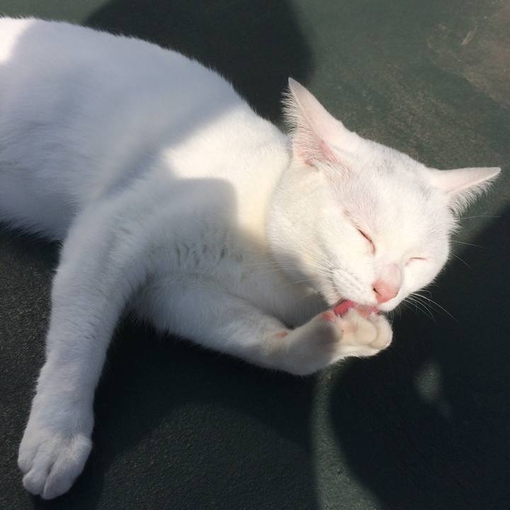 A8cefd08 d14e 430a 9e84 475f869eac5c