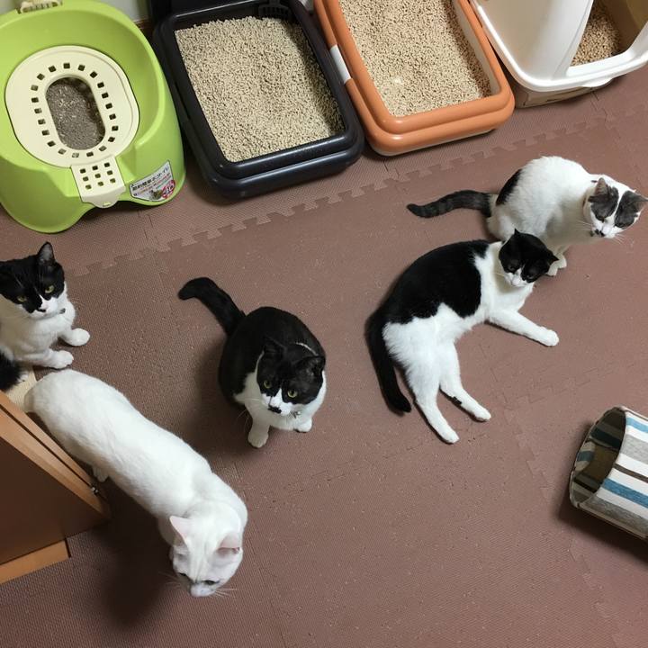 A8cf10e0 a9e9 4c33 972c 4d345a880fbd