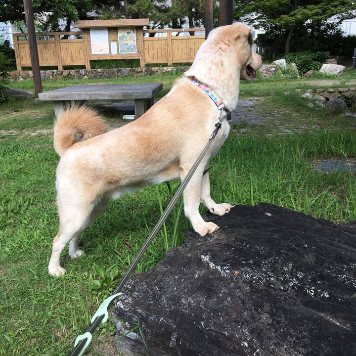 A8cffc68 1a55 4e03 91ad b09f1f103da1