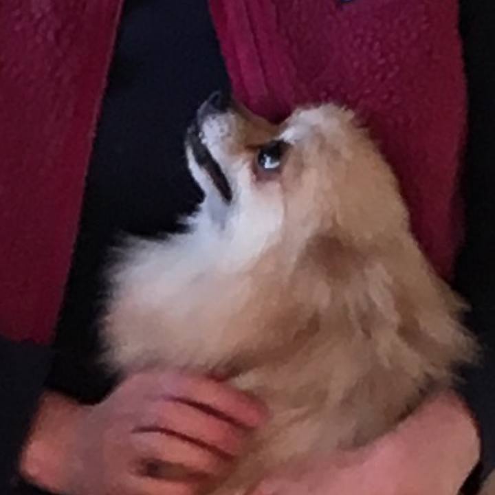 A8d0a949 84d4 4ff5 b6fe 9074343f952e