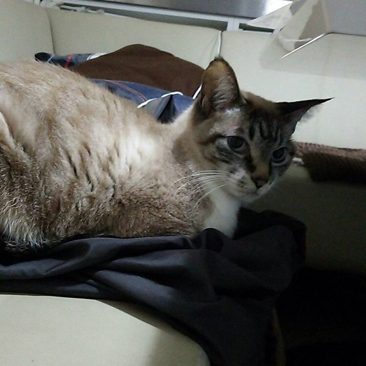 A8d0d17f 4a28 4786 b756 c335dfd13bdd