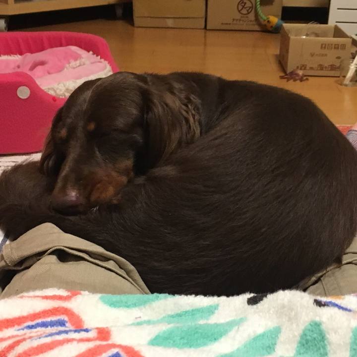 A8d19e26 a558 41e6 9472 fbfd70b7f21e