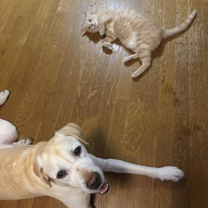 A8d1da29 c9a3 47e4 9d49 773cd728f8e1