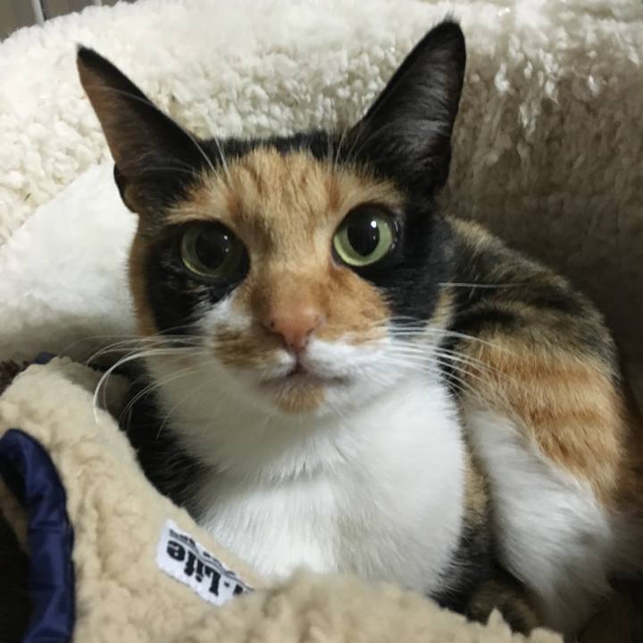 A8d21a08 4eed 4582 adc1 f7af5748ea80