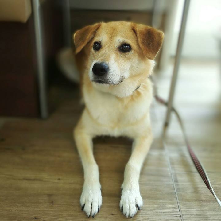 A8d22a91 390b 4328 8236 877814b2a940