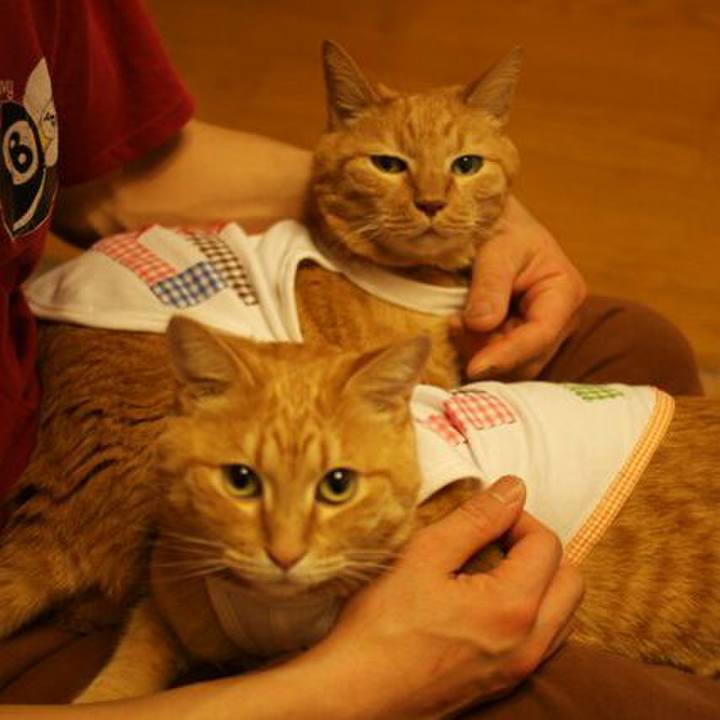 A8d2408d 66f6 4e23 a4b3 556ee8d1a3bb